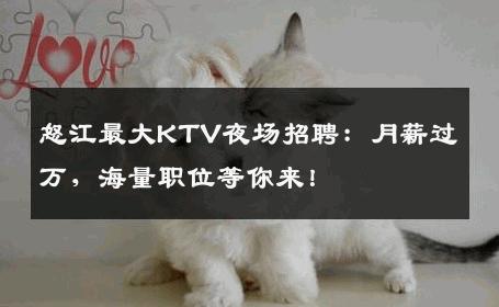 怒江最大KTV夜场招聘：月薪过万，海量职位等你来！