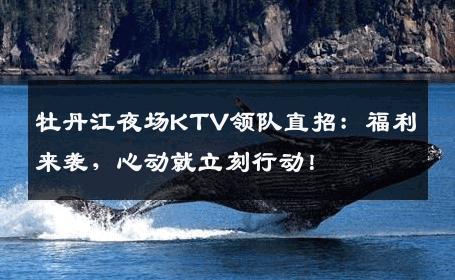 牡丹江夜场KTV领队直招：福利来袭，心动就立刻行动！
