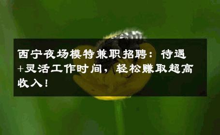 西宁夜场模特兼职招聘：待遇+灵活工作时间，轻松赚取超高收入！