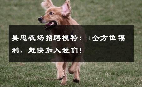 吴忠夜场招聘模特：+全方位福利，赶快加入我们！