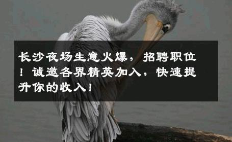 长沙夜场生意火爆，招聘职位！诚邀各界精英加入，快速提升你的收入！