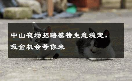 中山夜场招聘模特生意稳定，吸金机会等你来