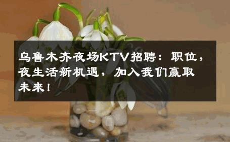 乌鲁木齐夜场KTV招聘：职位，夜生活新机遇，加入我们赢取未来！