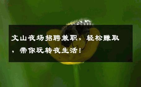文山夜场招聘兼职，轻松赚取，带你玩转夜生活！