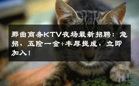 那曲商务KTV夜场最新招聘：急招，五险一金+丰厚提成，立即加入！