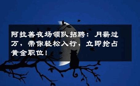 阿拉善夜场领队招聘：月薪过万，带你轻松入行，立即抢占黄金职位！
