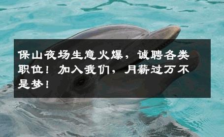 保山夜场生意火爆，诚聘各类职位！加入我们，月薪过万不是梦！