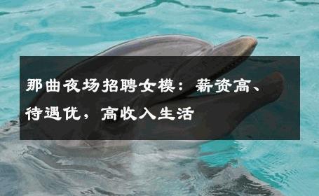 那曲夜场招聘女模：薪资高、待遇优，高收入生活