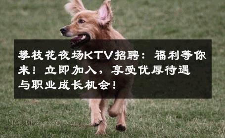 攀枝花夜场KTV招聘：福利等你来！立即加入，享受优厚待遇与职业成长机会！