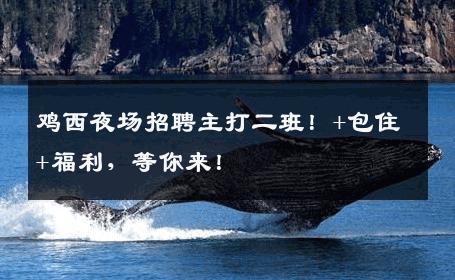 鸡西夜场招聘主打二班！+包住+福利，等你来！