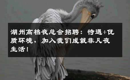 湖州高档夜总会招聘：待遇+优质环境，加入我们成就非凡夜生活！