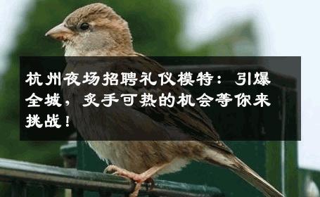 杭州夜场招聘礼仪模特：引爆全城，炙手可热的机会等你来挑战！