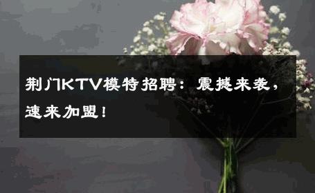 荆门KTV模特招聘：震撼来袭，速来加盟！