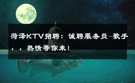 菏泽KTV招聘：诚聘服务员-歌手，，热情等你来！