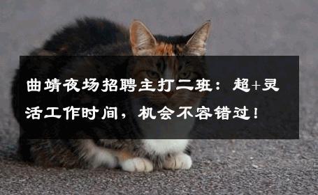 曲靖夜场招聘主打二班：超+灵活工作时间，机会不容错过！