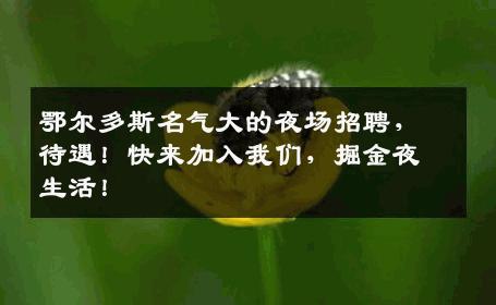 鄂尔多斯名气大的夜场招聘，待遇！快来加入我们，掘金夜生活！
