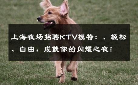 上海夜场招聘KTV模特：、轻松、自由，成就你的闪耀之夜！