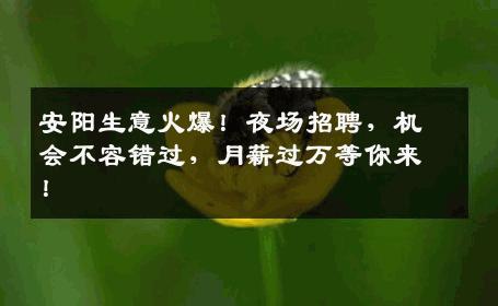 安阳生意火爆！夜场招聘，机会不容错过，月薪过万等你来！