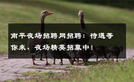 南平夜场招聘网招聘：待遇等你来，夜场精英招募中！