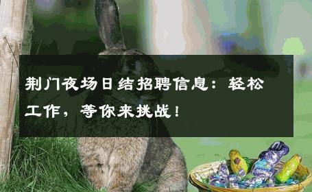 荆门夜场日结招聘信息：轻松工作，等你来挑战！