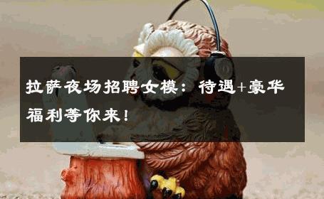 拉萨夜场招聘女模：待遇+豪华福利等你来！
