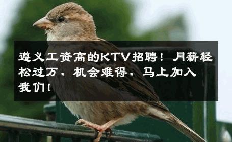 遵义工资高的KTV招聘！月薪轻松过万，机会难得，马上加入我们！