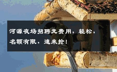 河源夜场招聘无费用，轻松，名额有限，速来抢！