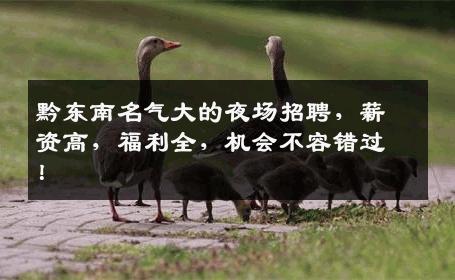 黔东南名气大的夜场招聘，薪资高，福利全，机会不容错过！