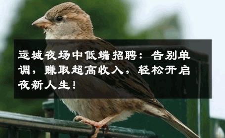 运城夜场中低端招聘：告别单调，赚取超高收入，轻松开启夜新人生！