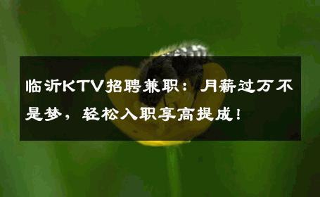 临沂KTV招聘兼职：月薪过万不是梦，轻松入职享高提成！