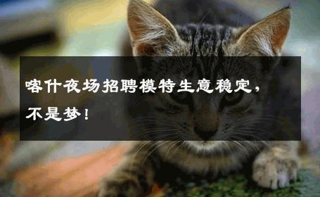 喀什夜场招聘模特生意稳定，不是梦！