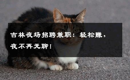 吉林夜场招聘兼职：轻松赚，夜不再无聊！