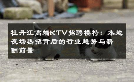 牡丹江高端KTV招聘模特：本地夜场热招背后的行业趋势与薪酬前景