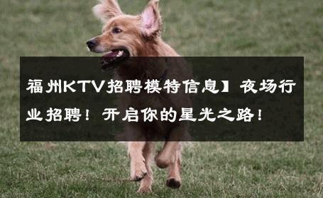 福州KTV招聘模特信息】夜场行业招聘！开启你的星光之路！