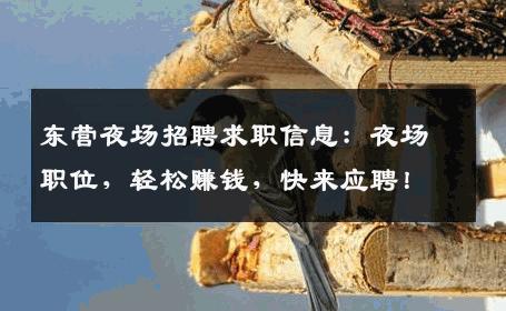 东营夜场招聘求职信息：夜场职位，轻松赚钱，快来应聘！