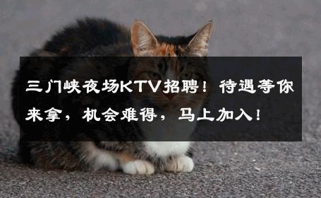 三门峡夜场KTV招聘！待遇等你来拿，机会难得，马上加入！