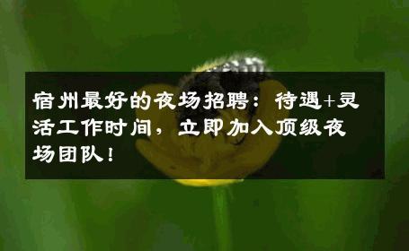 宿州最好的夜场招聘：待遇+灵活工作时间，立即加入顶级夜场团队！