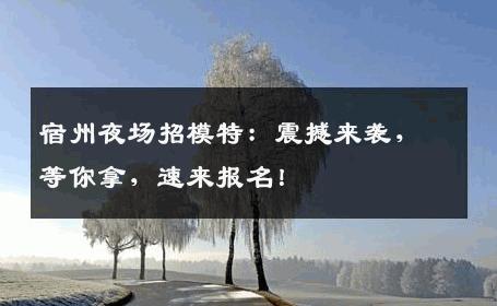 宿州夜场招模特：震撼来袭，等你拿，速来报名！