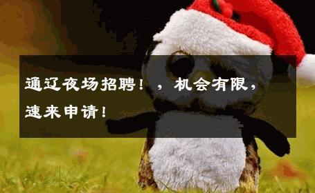 通辽夜场招聘！，机会有限，速来申请！