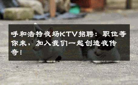 呼和浩特夜场KTV招聘：职位等你来，加入我们一起创造夜传奇！