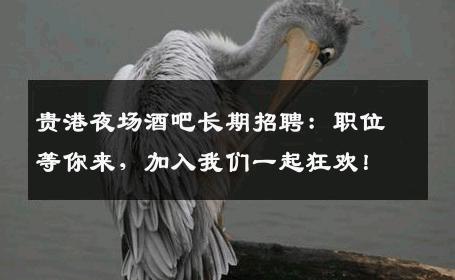 贵港夜场酒吧长期招聘：职位等你来，加入我们一起狂欢！