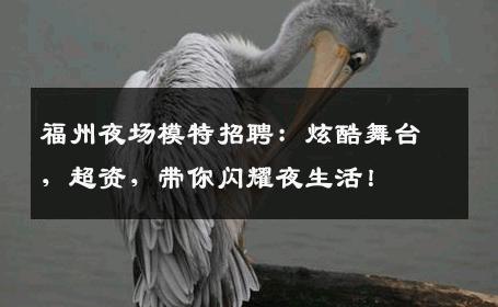 福州夜场模特招聘：炫酷舞台，超资，带你闪耀夜生活！