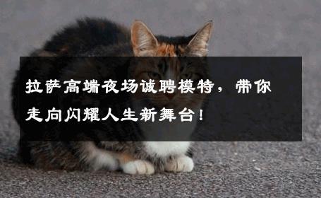 拉萨高端夜场诚聘模特，带你走向闪耀人生新舞台！