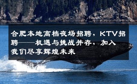 合肥本地高档夜场招聘，KTV招聘——机遇与挑战并存，加入我们尽享辉煌未来