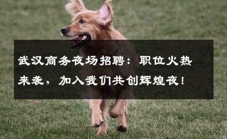 武汉商务夜场招聘：职位火热来袭，加入我们共创辉煌夜！