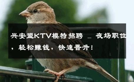 兴安盟KTV模特招聘 _ 夜场职位，轻松赚钱，快速晋升！
