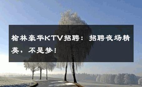 榆林豪华KTV招聘：招聘夜场精英，不是梦！