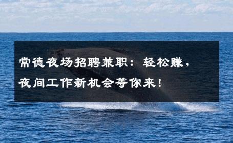 常德夜场招聘兼职：轻松赚，夜间工作新机会等你来！