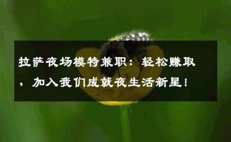 拉萨夜场模特兼职：轻松赚取，加入我们成就夜生活新星！