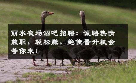丽水夜场酒吧招聘：诚聘热情兼职，轻松赚，绝佳晋升机会等你来！